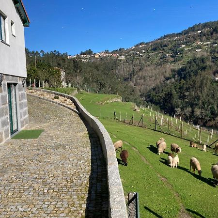 Quinta De Varzielas - Agroturismo 派瓦堡 外观 照片