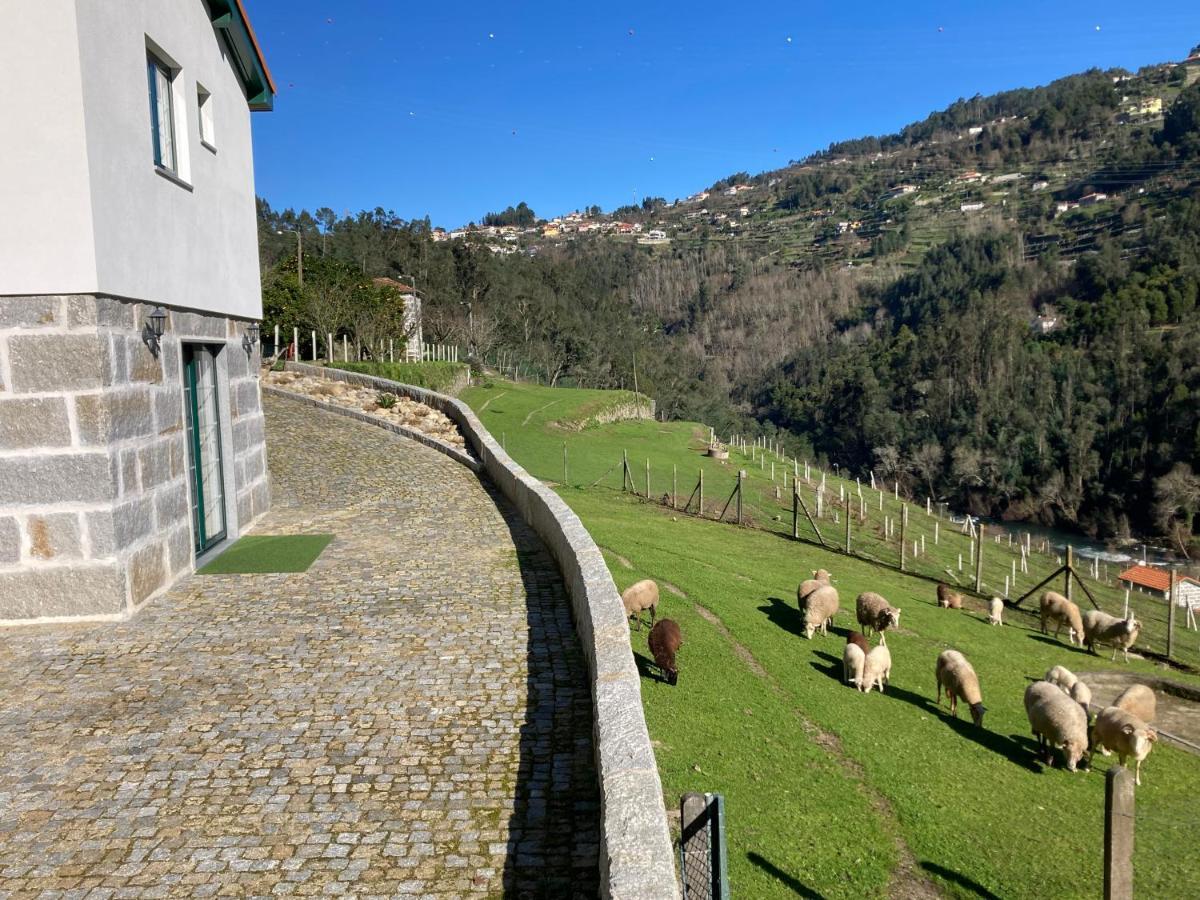 Quinta De Varzielas - Agroturismo 派瓦堡 外观 照片