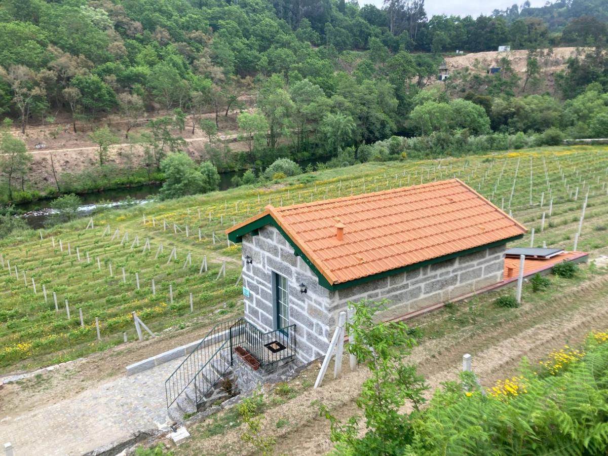 Quinta De Varzielas - Agroturismo 派瓦堡 外观 照片
