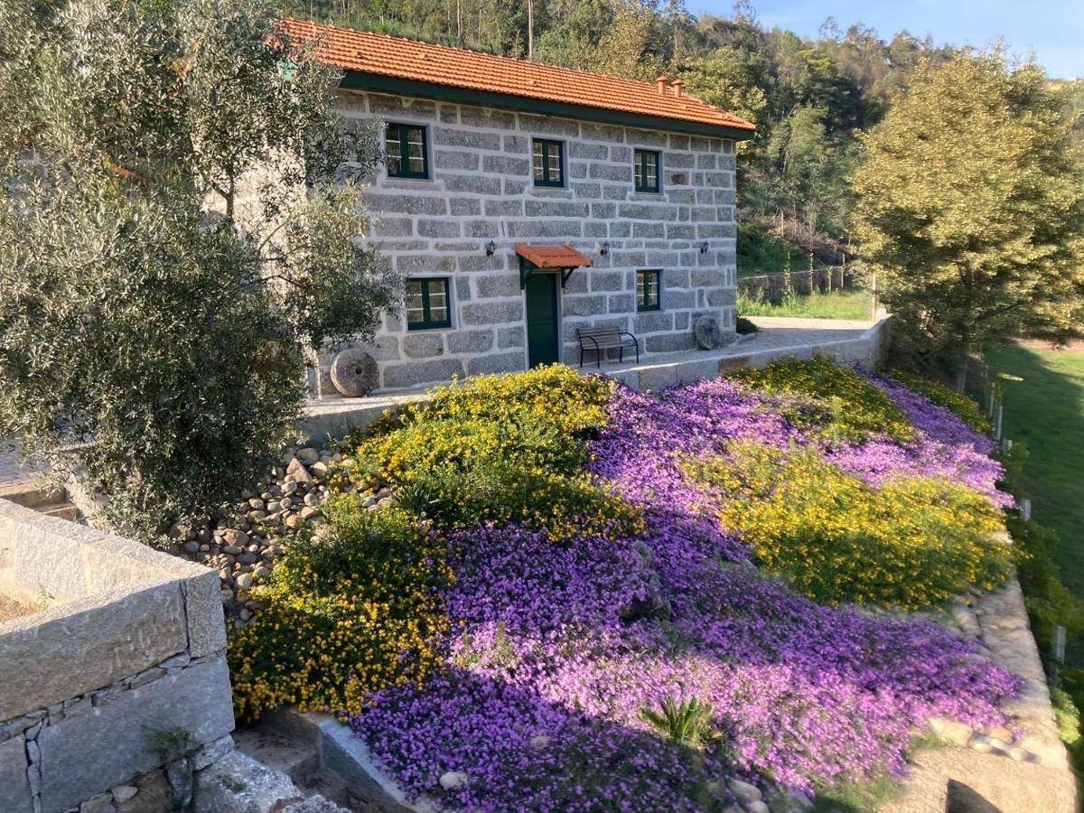 Quinta De Varzielas - Agroturismo 派瓦堡 外观 照片